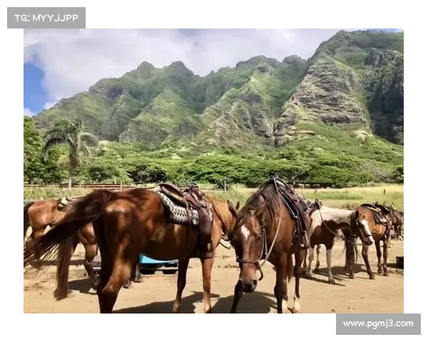 刚果与美国传统在怀斯曼文化节上的精彩展示